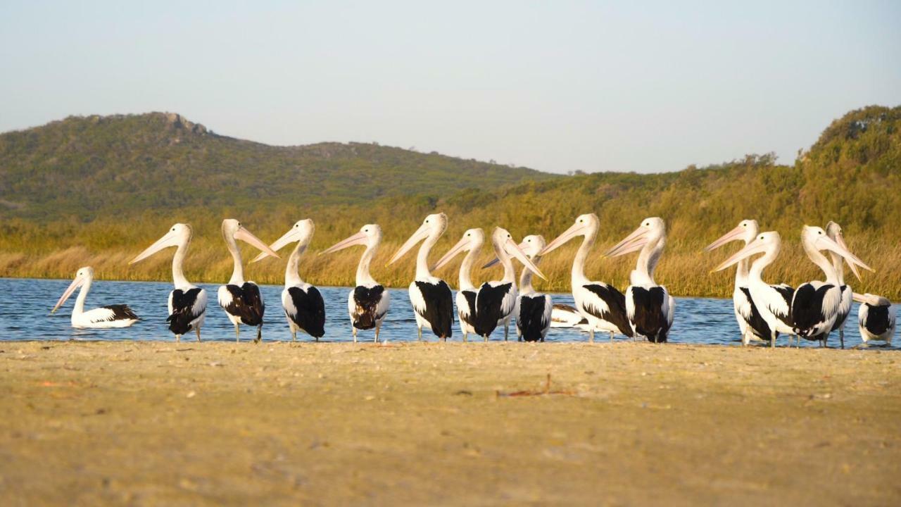Castaways Moreton Island Bulwer Zewnętrze zdjęcie
